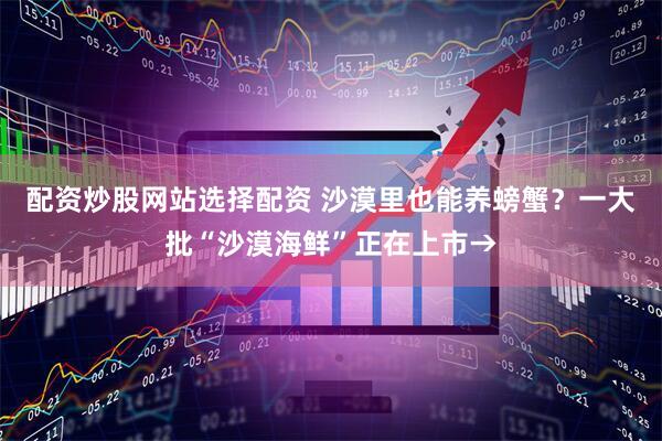 配资炒股网站选择配资 沙漠里也能养螃蟹？一大批“沙漠海鲜”正在上市→