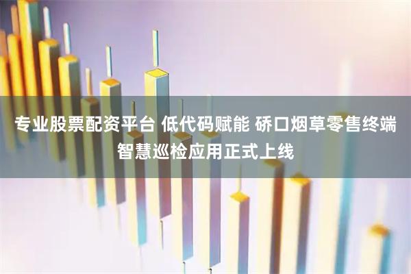 专业股票配资平台 低代码赋能 硚口烟草零售终端智慧巡检应用正式上线