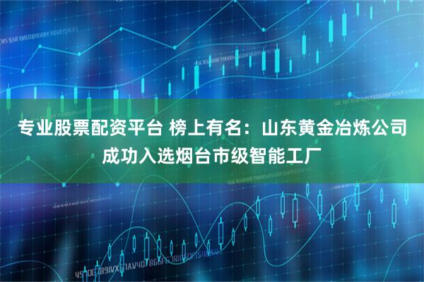 专业股票配资平台 榜上有名：山东黄金冶炼公司成功入选烟台市级智能工厂