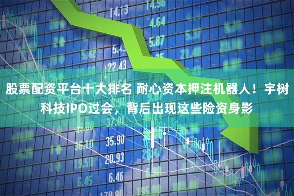 股票配资平台十大排名 耐心资本押注机器人！宇树科技IPO过会，背后出现这些险资身影