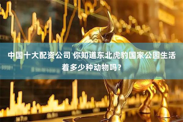 中国十大配资公司 你知道东北虎豹国家公园生活着多少种动物吗？